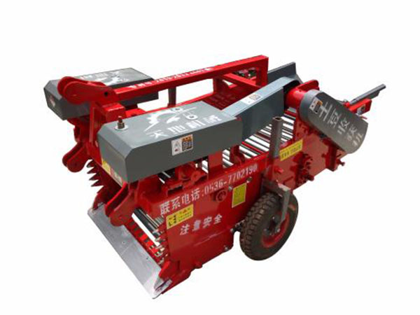 土豆收獲機(jī)廠家